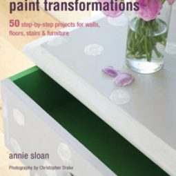 Quick and easy Paint Transformations