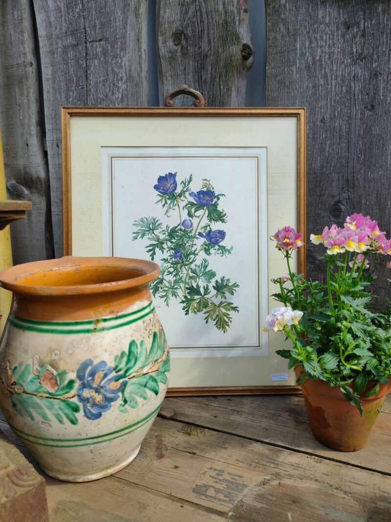 Chromolitho's bloemen