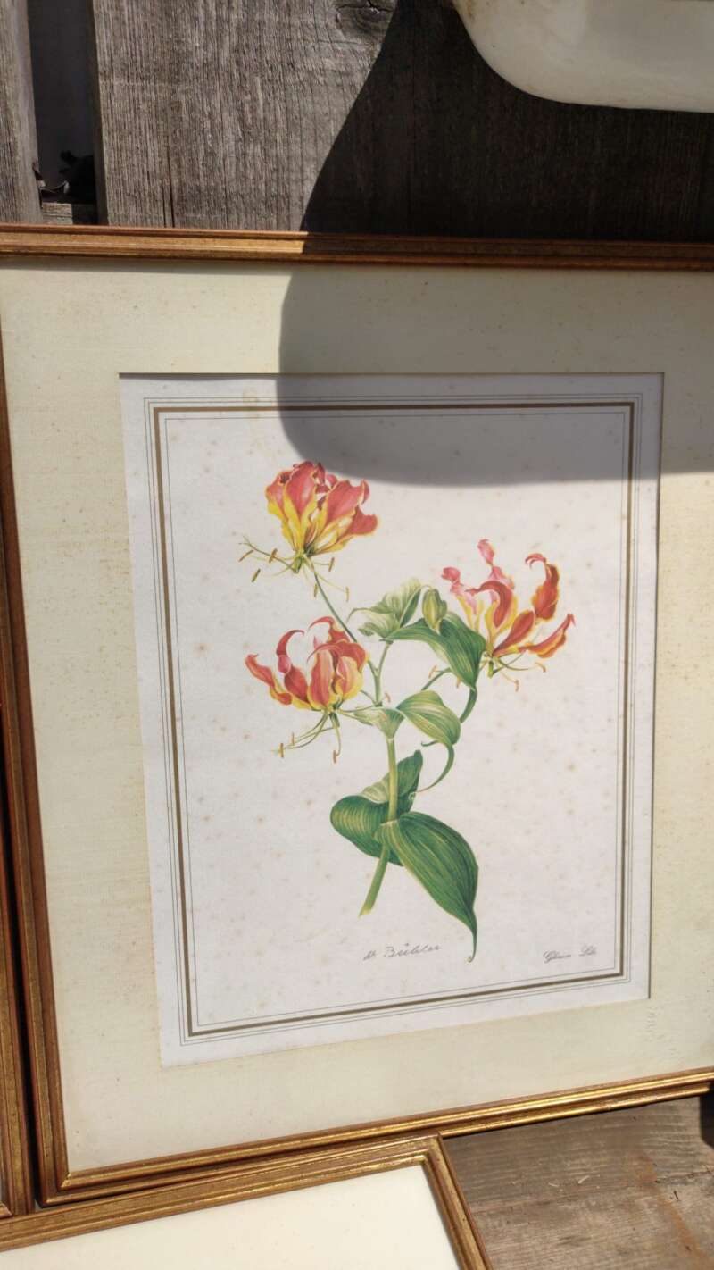 Chromolitho's bloemen - Afbeelding 3