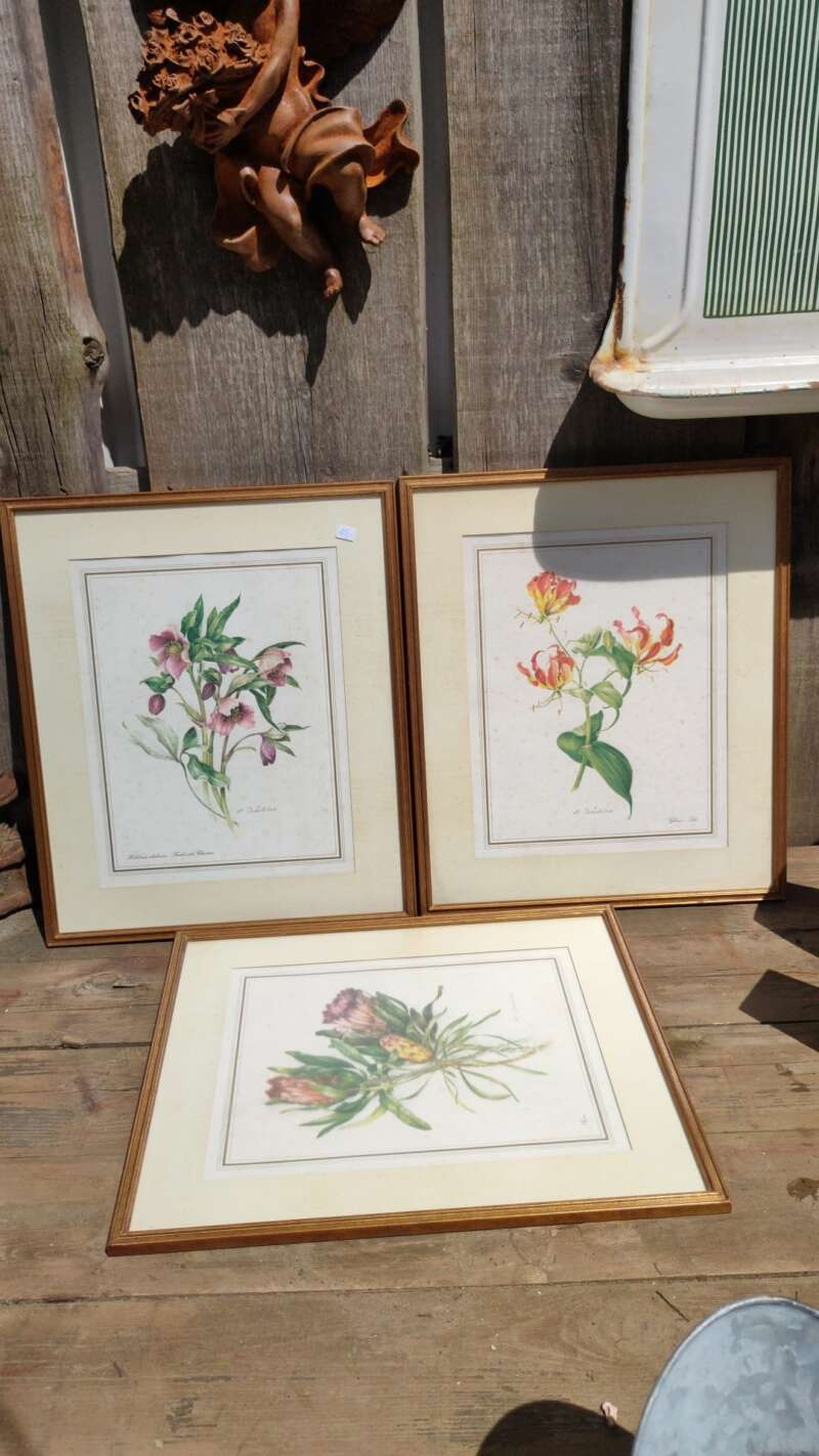 Chromolitho's bloemen - Afbeelding 2