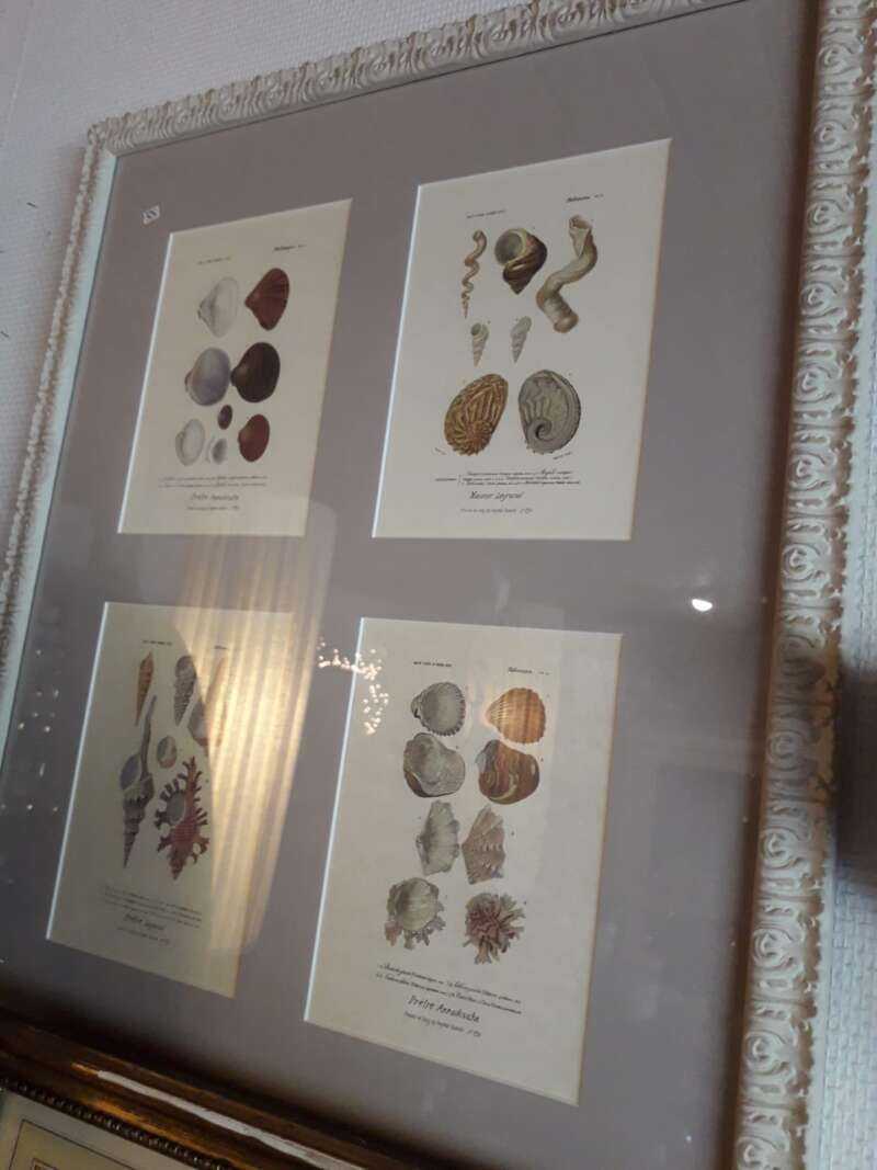 Litho schelpen