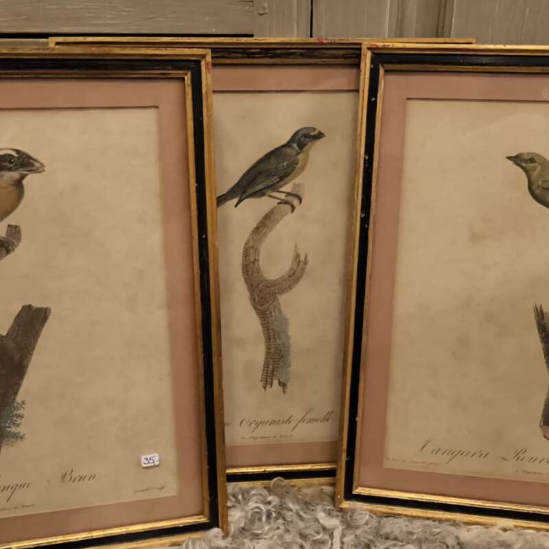 chromolitho's van vogel