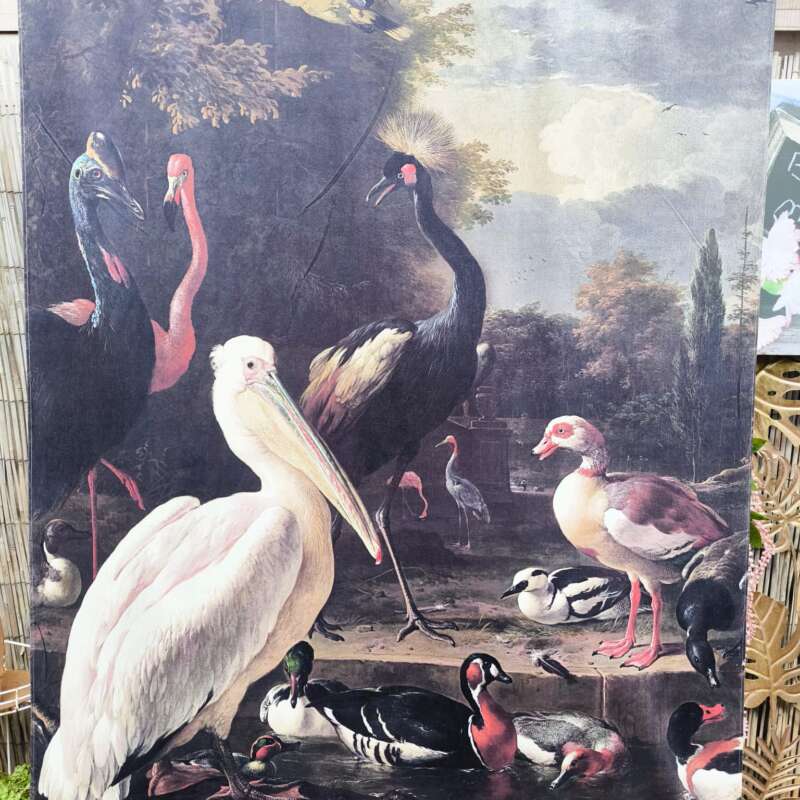 Print op doek vogels groot