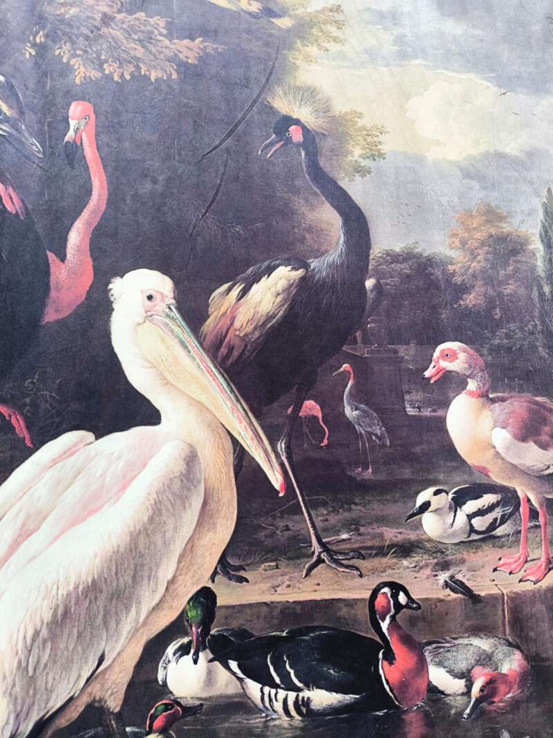Print op doek vogels groot - Afbeelding 2